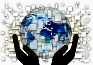 爱游戏娱乐-中超球队年度控场人数分布与效果评估，中超球队人数限制