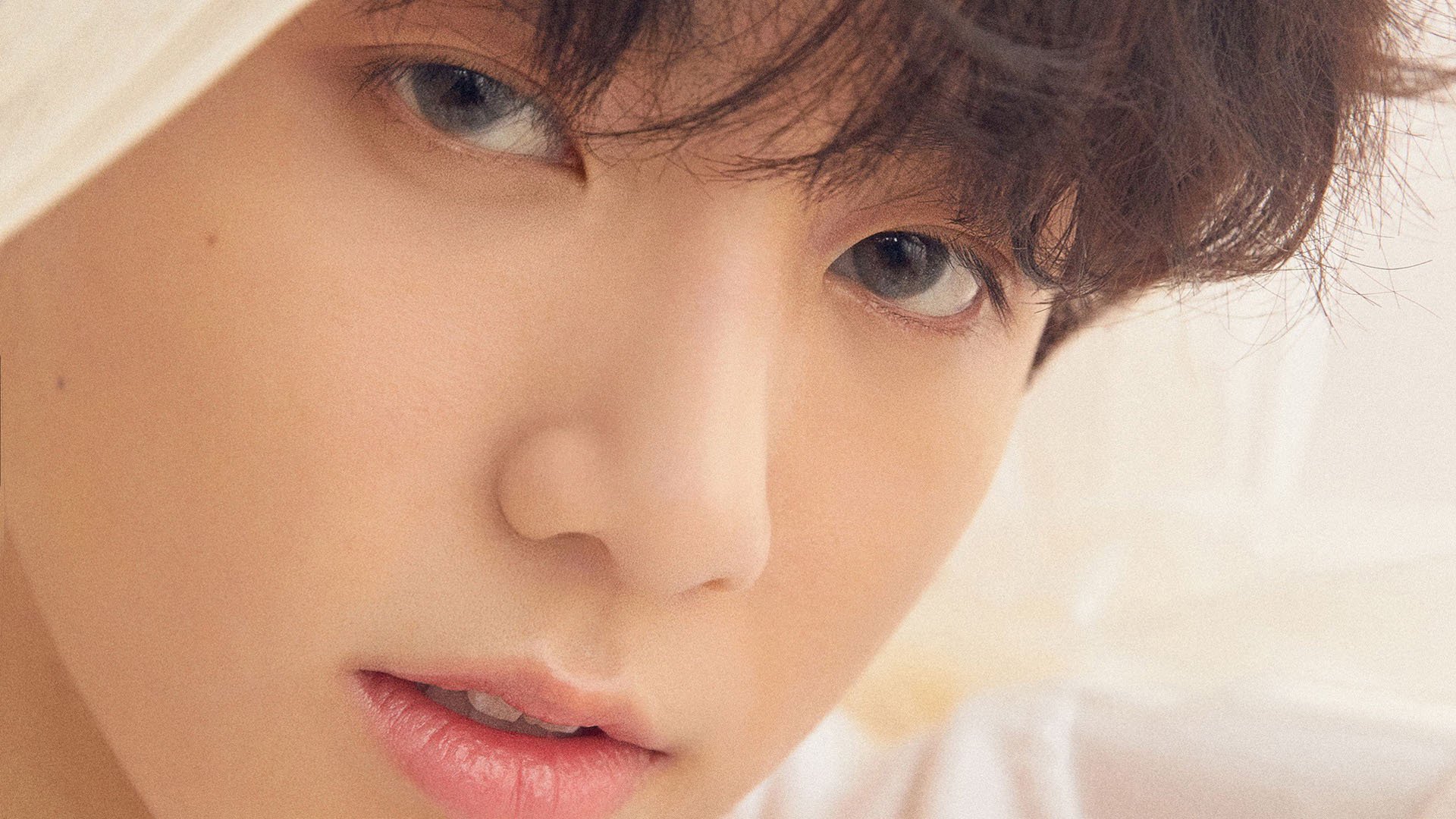 爱游戏正版-俱乐部粉丝文化:不同国家的狂热追随者