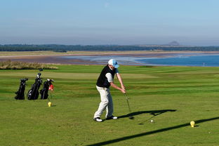 爱游戏登录入口-全运会男子体操单项决赛精彩纷呈，全运会男子体操单项冠军