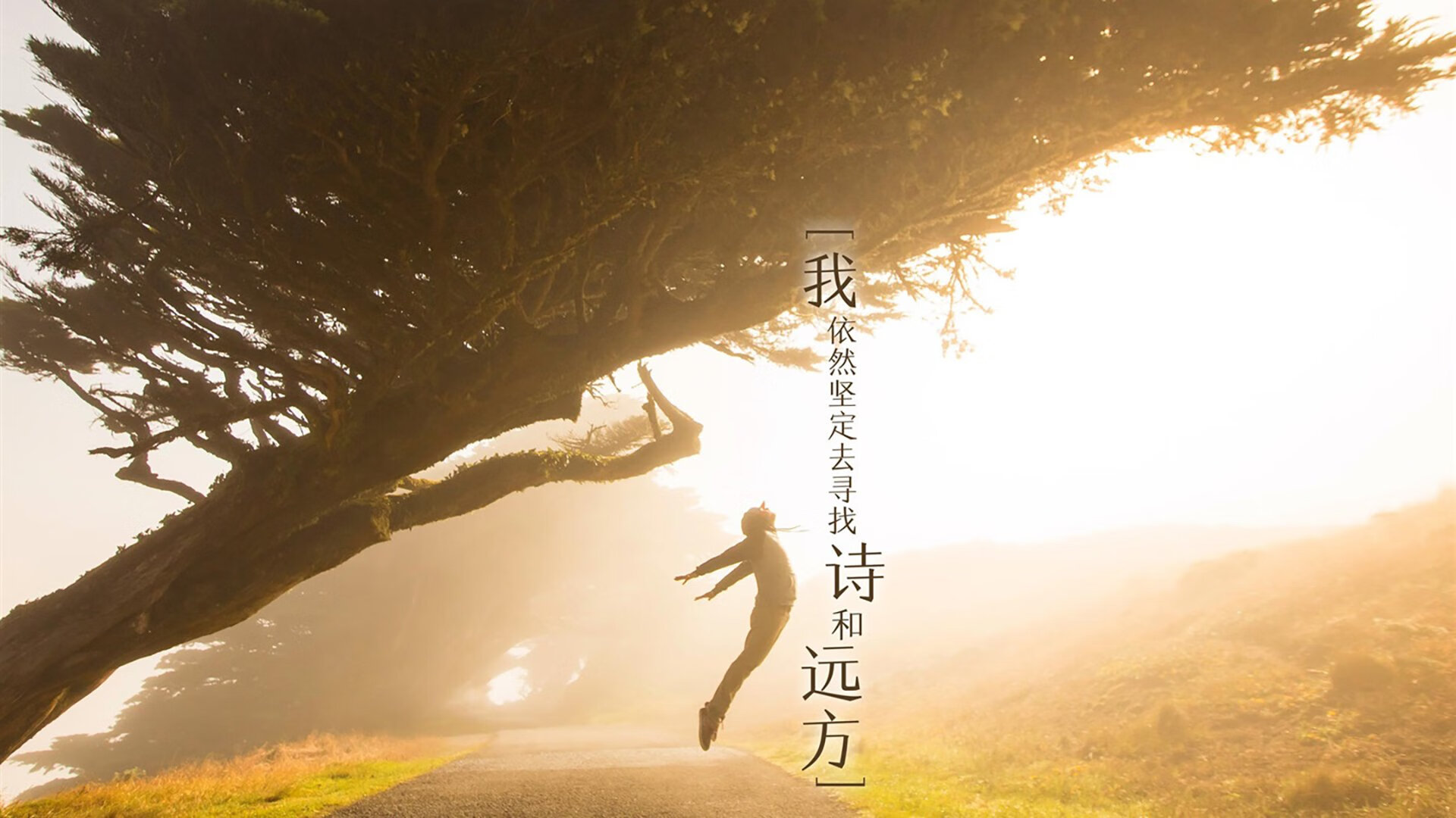 爱游戏用户专属-夺冠之路:解读各队夺冠的策略和关键因素,夺冠的细节分析