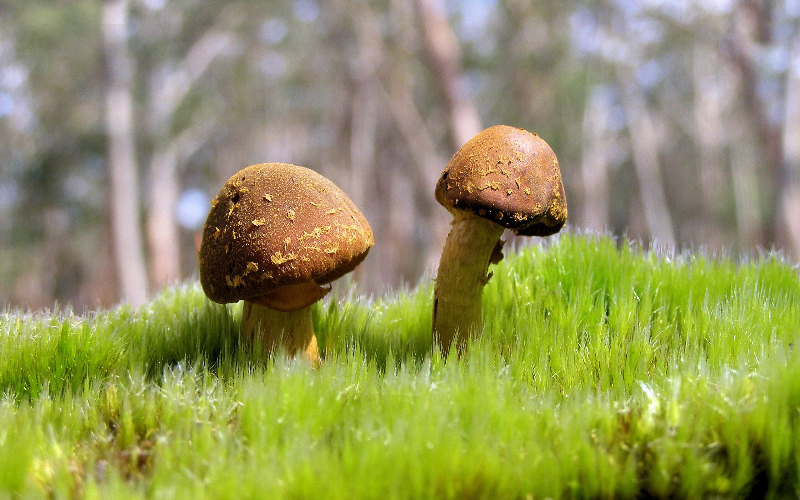 爱游戏登录入口-智能化体育课堂教学工具开发与应用研究,智能体育教育