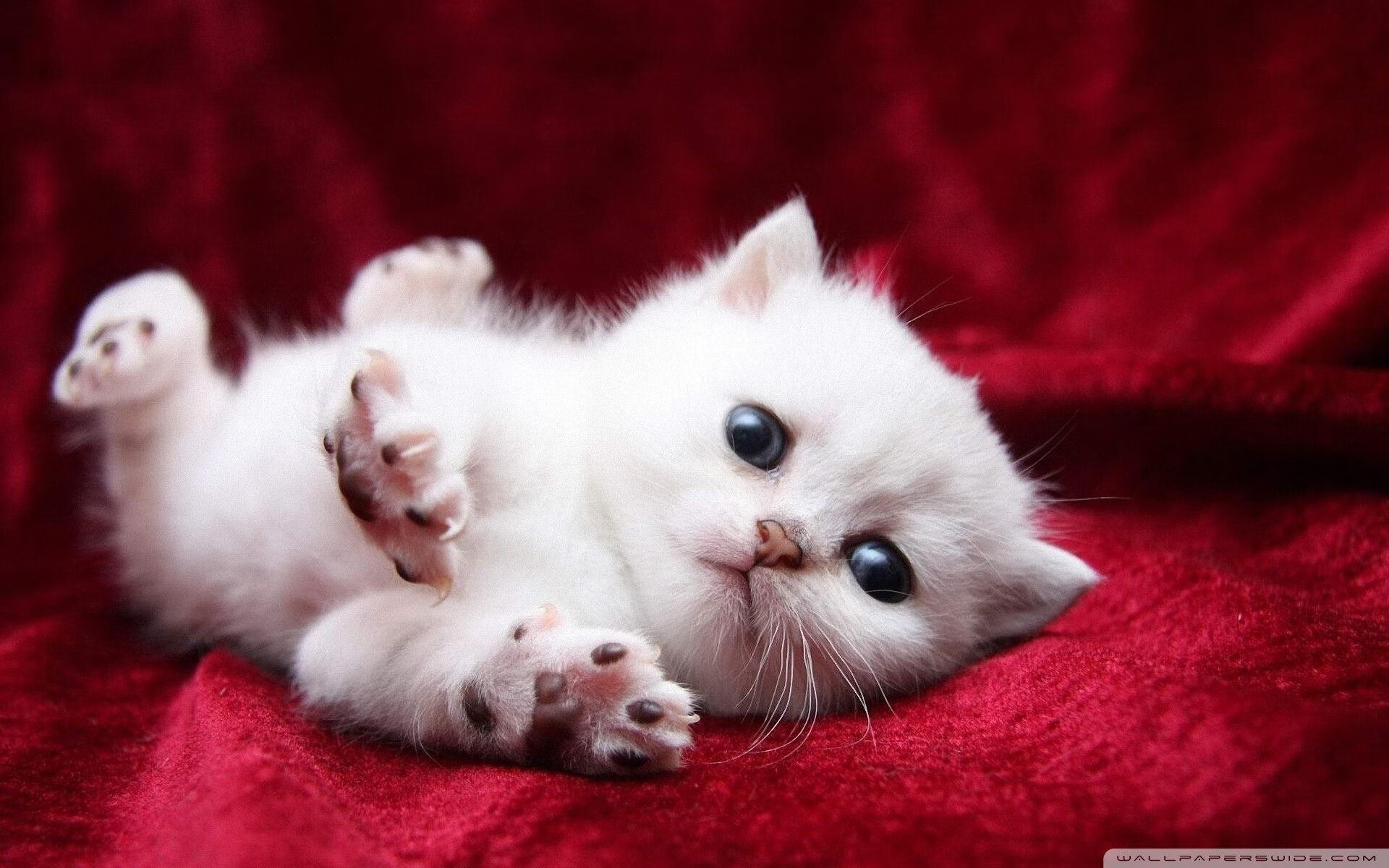 爱游戏官方入口-法甲球队基于大数据分析的边路进攻防守平衡策略,法甲 球队