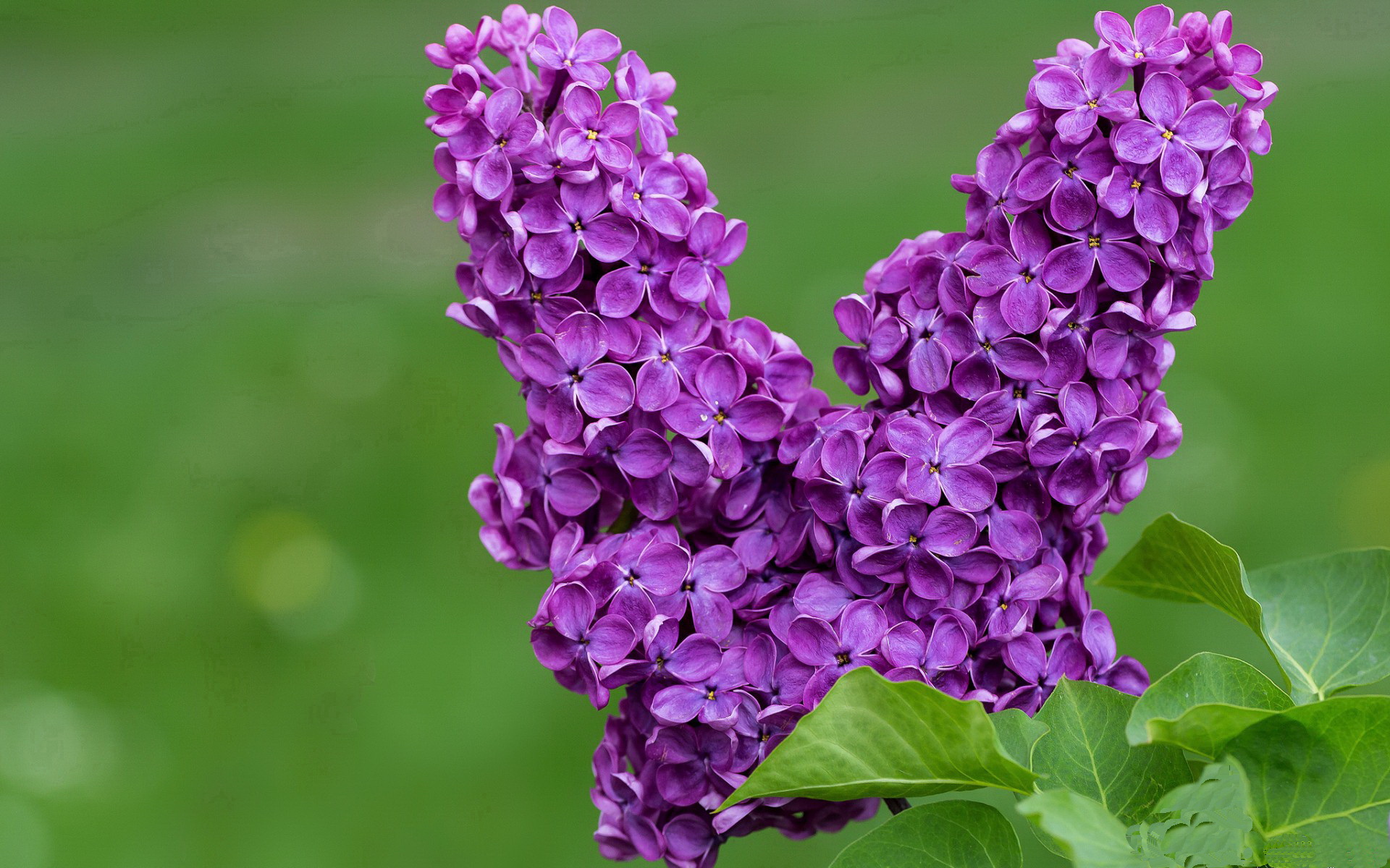 爱游戏平台-篮球运动员心理应激缓解方法实证研究,篮球运动员的心理特点