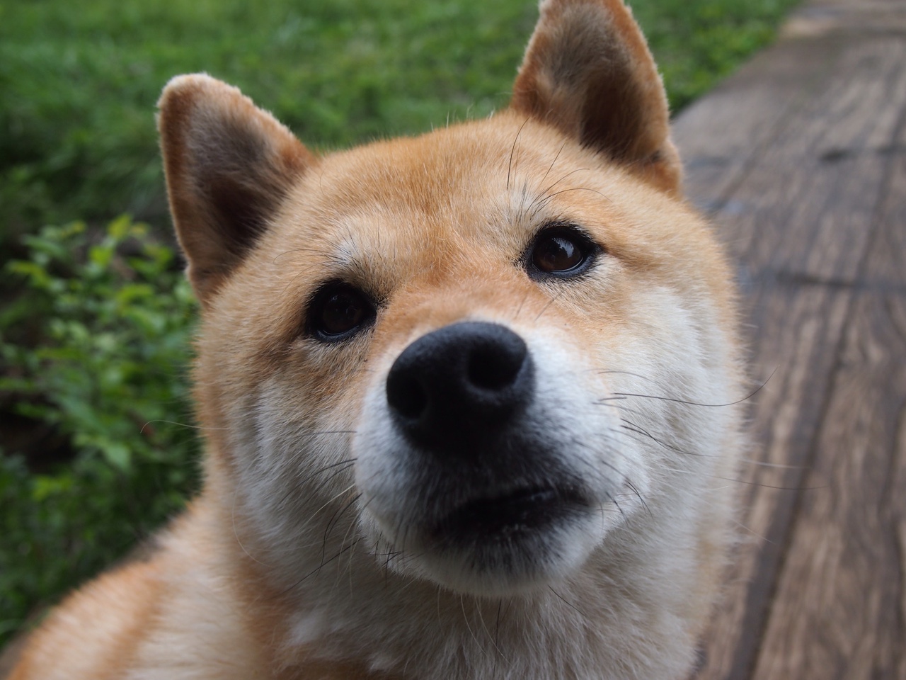 爱游戏首页入口-“2025世界运动会:六人制袋棍球带来更具互动性的赛事体验”