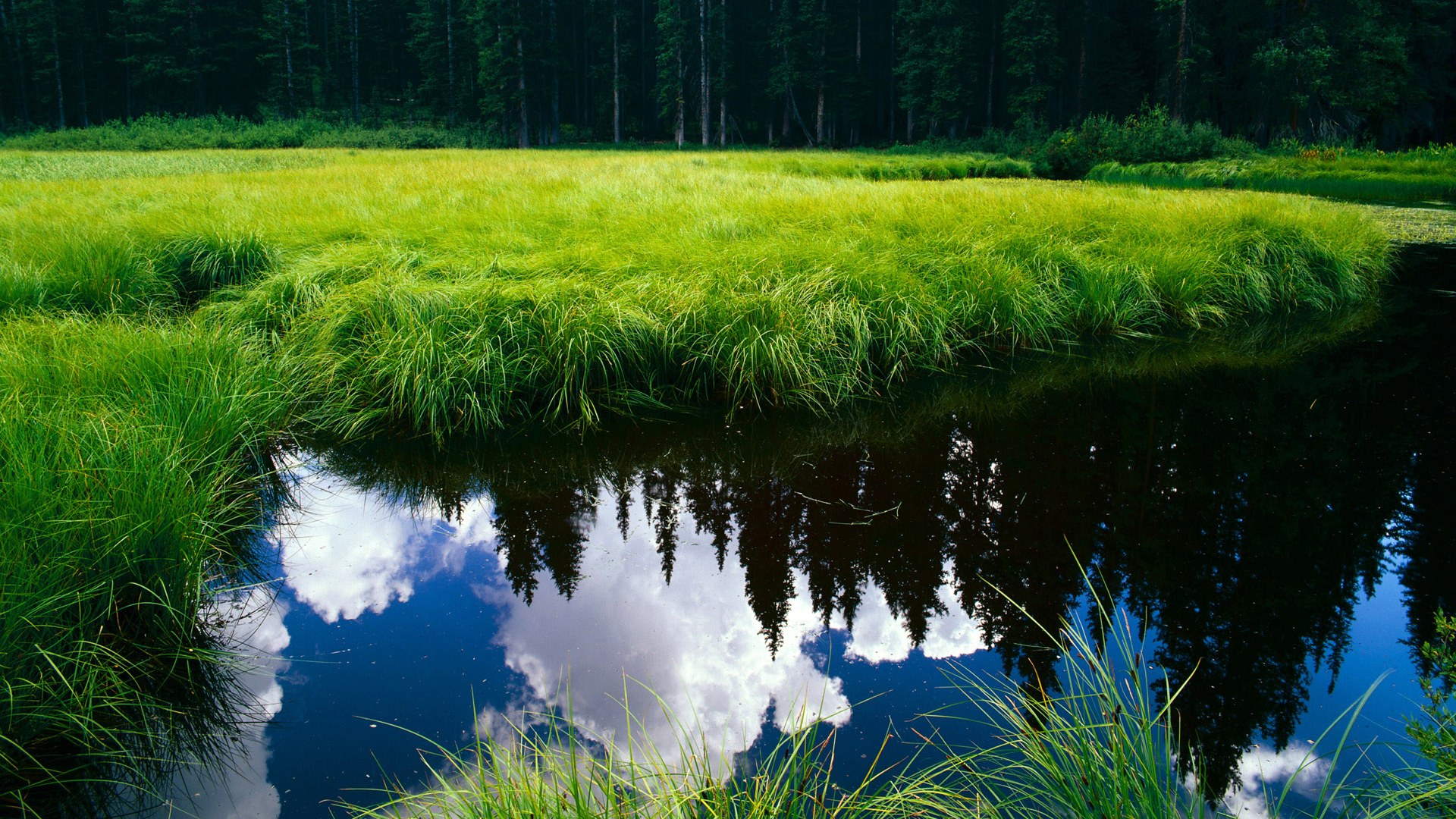 爱游戏赛事中心-世界杯 中国青年队复仇 跌宕时刻令人动容,世界杯,中国队