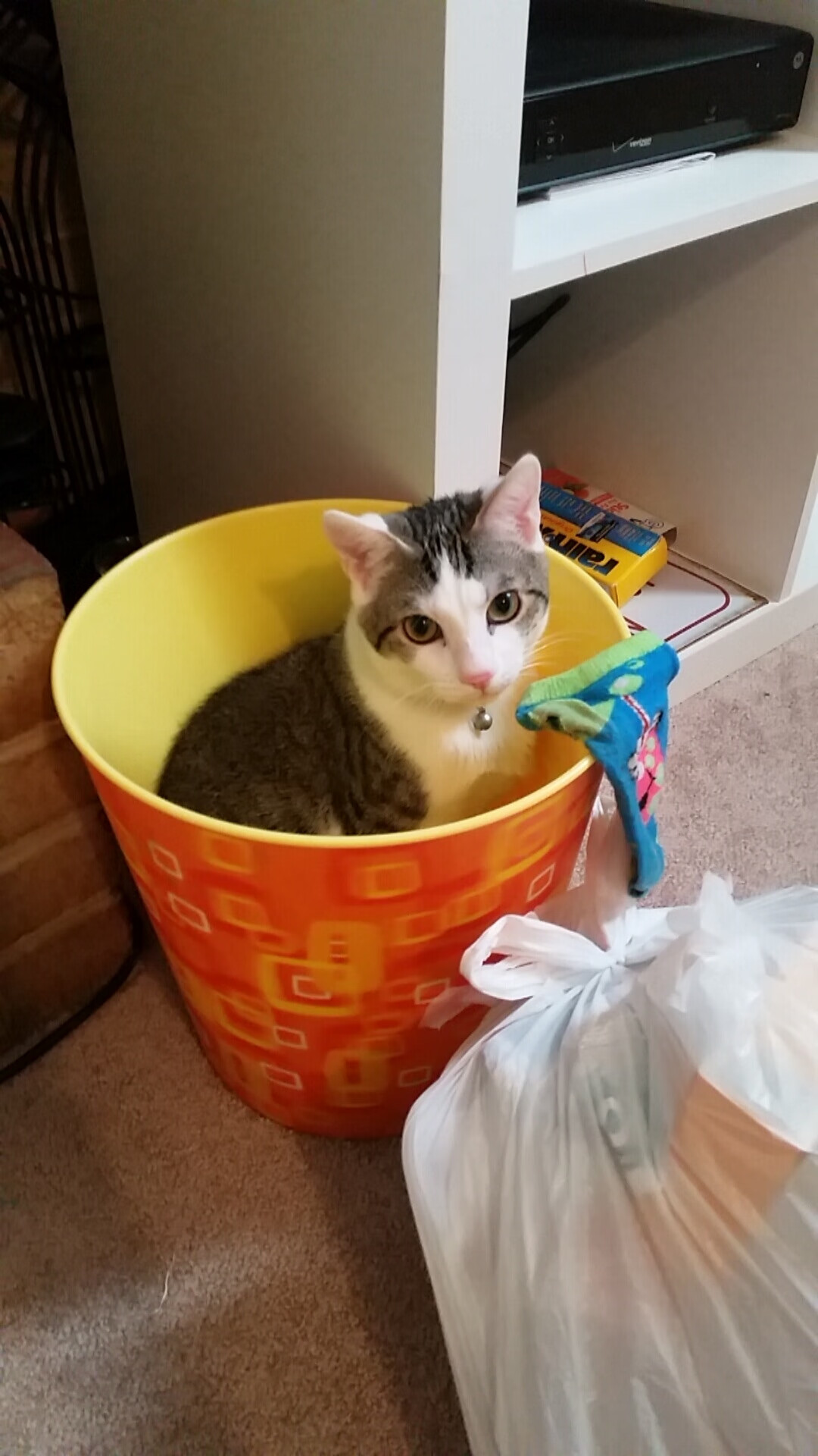 爱游戏下载-中国女篮精密布防压制对手 外线命中率稳定,中国女篮表现