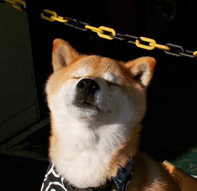 爱游戏体育客户端-五大联赛战术变革是否真正实现节奏现代化,五大联赛战术变革是否真正实现节奏现代化