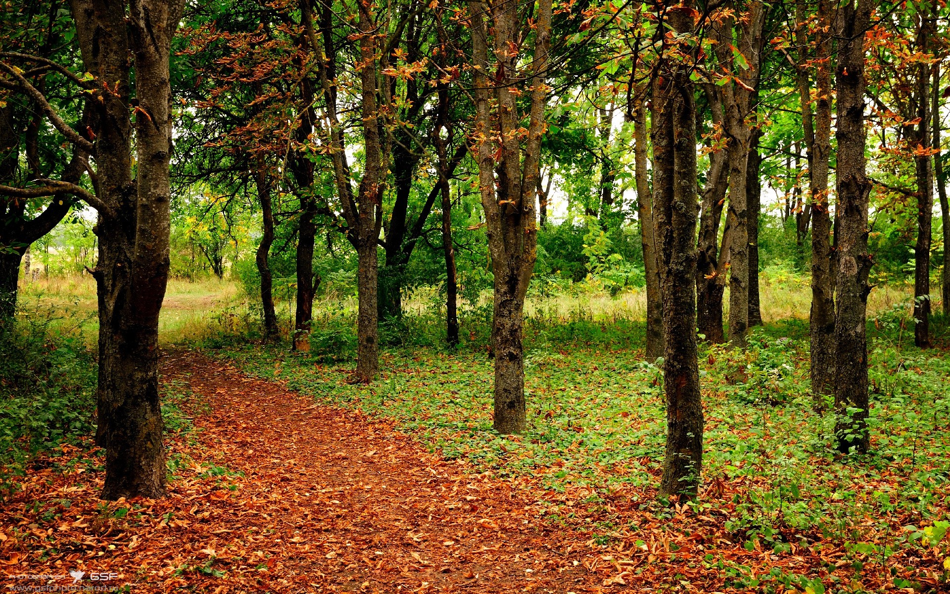 爱游戏中国-亚冠联赛中国足球惨败 球迷期待教练调整策略,亚冠 中国队