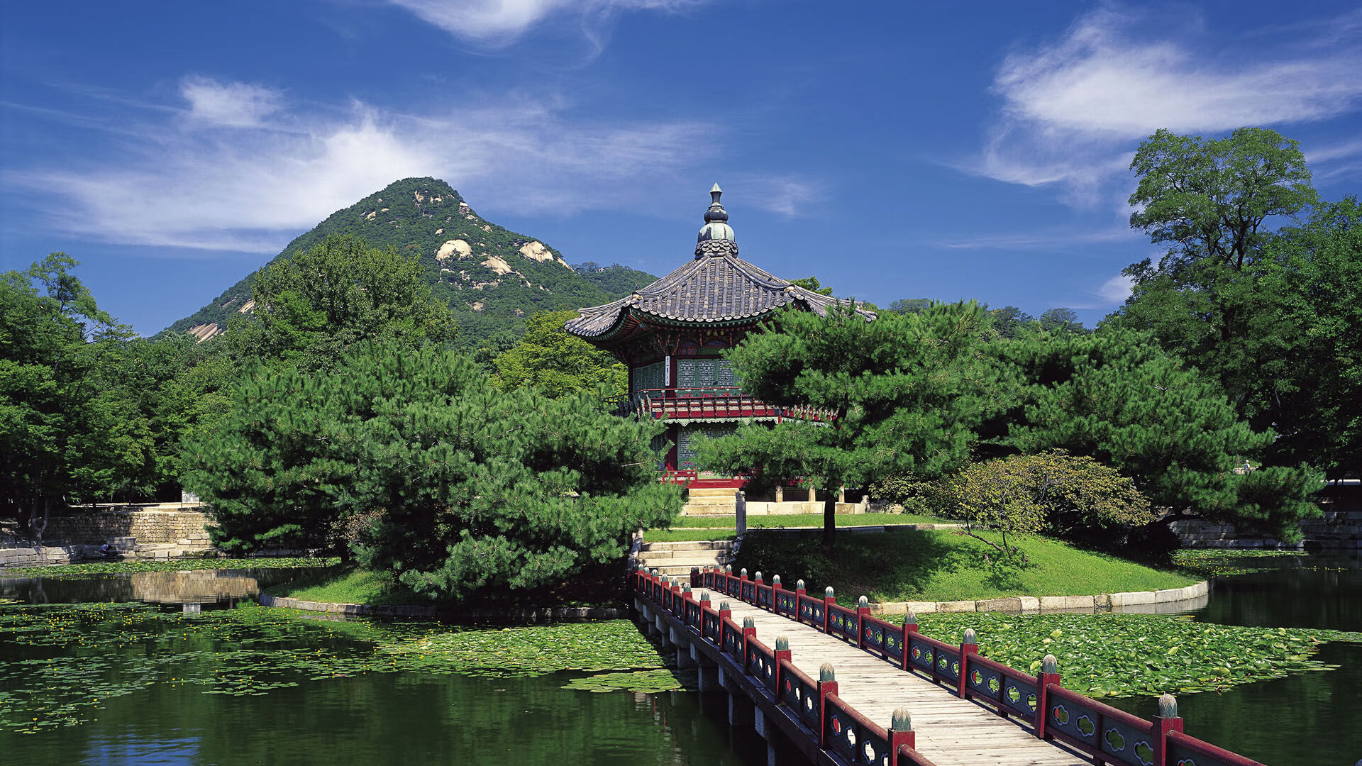 爱游戏直播-内部竞争激烈,阵容磨合需加强,内部竞争的例子