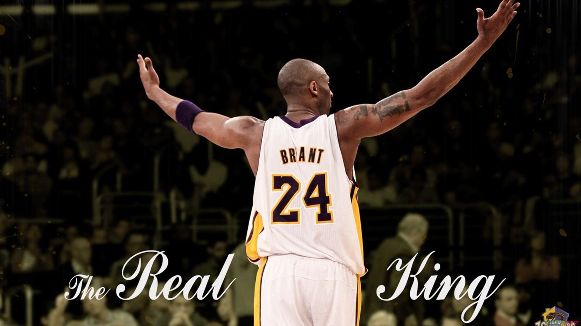 _水上漂浮运动节：特别的水上运动体验_，水上运动项目大全